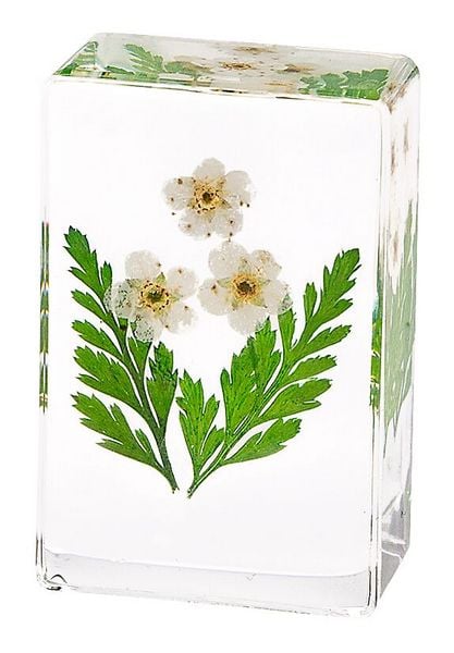 Produktbild: Blatt & Bl&uuml;te Forever Flowers