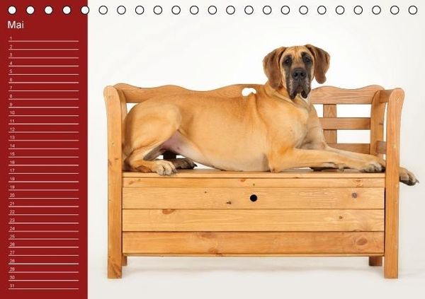 Produktbild: Deutsche Doggen / Geburtstagskalender (Tischkalender immerw&auml;hrend DIN A5 quer)