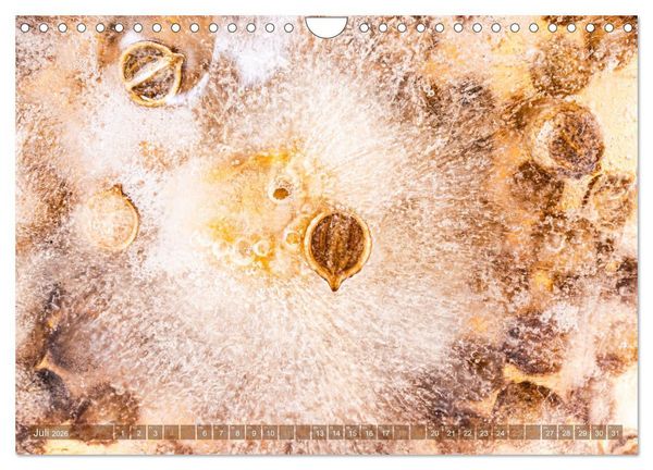 Produktbild: W&uuml;rziges Eis (Wandkalender 2026 DIN A4 quer), CALVENDO Monatskalender