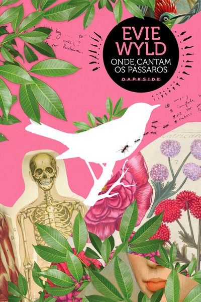 Produktbild: Onde cantam os p&aacute;ssaros