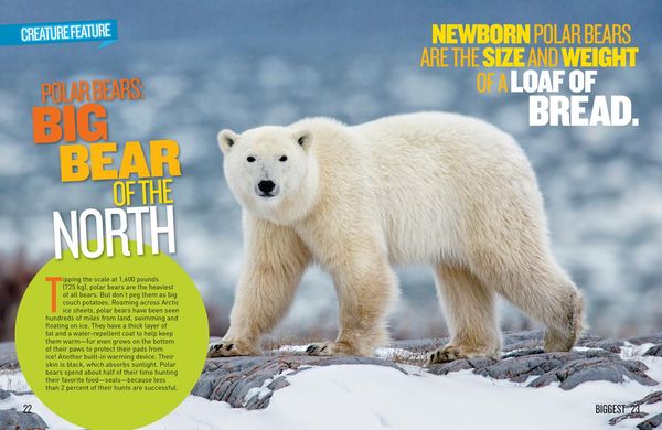 Produktbild: National Geographic Kids Extreme Records