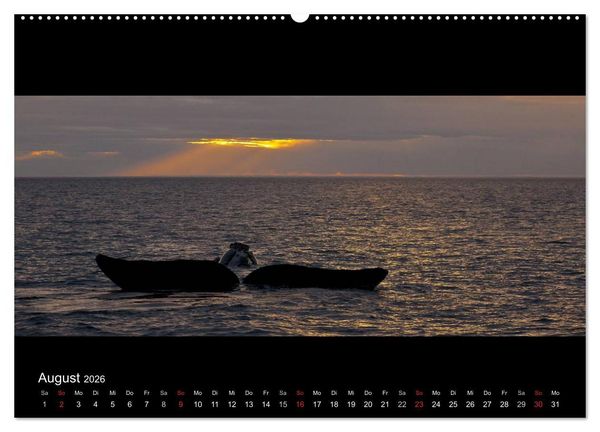 Produktbild: Patagonien - Ungez&auml;hmtes Land (hochwertiger Premium Wandkalender 2026 DIN A2 quer), Kunstdruck in Hochglanz
