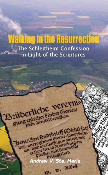 Produktbild: Walking in the Resurrection