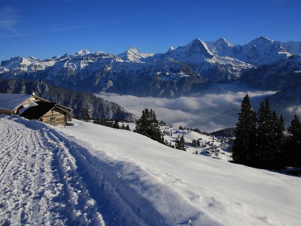 Produktbild: CALVENDO Puzzle Niederhorn, Beatenberg, Schweiz | 1000 Teile Lege-Gr&ouml;&szlig;e 64x48cm Foto-Puzzle f&uuml;r gl&uuml;ckliche Stunden
