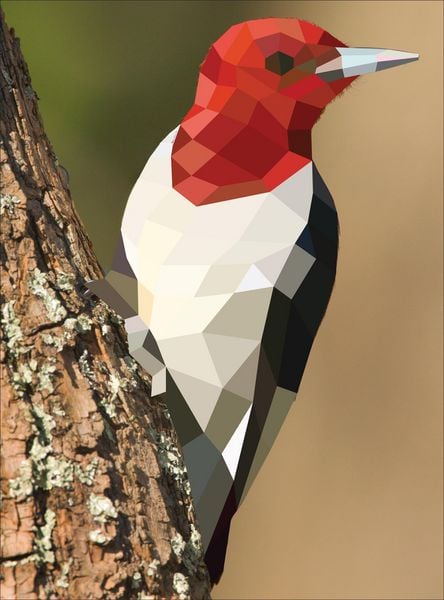 Produktbild: Paint by Sticker
