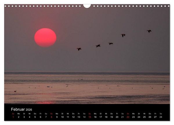 Produktbild: Im Norden - An der Nordsee in Deutschland (Wandkalender 2026 DIN A3 quer), CALVENDO Monatskalender