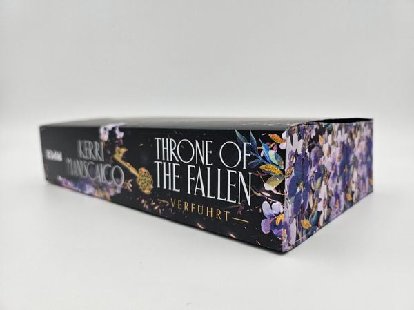 Produktbild: Throne of the Fallen &ndash; Verf&uuml;hrt