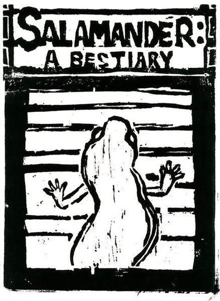 Produktbild: Salamander: A Bestiary