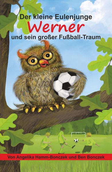 Produktbild: Der kleine Eulenjunge Werner und sein gro&szlig;er Fu&szlig;ball-Traum