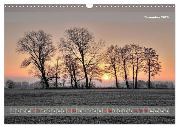 Produktbild: Licht im Land (Wandkalender 2026 DIN A3 quer), CALVENDO Monatskalender