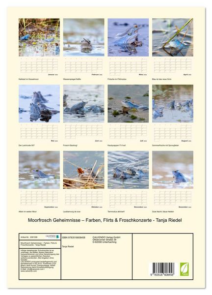 Produktbild: Moorfrosch Geheimnisse &ndash; Farben, Flirts & Froschkonzerte - Tanja Riedel (hochwertiger Premium Wandkalender 2026 DIN A2 hoch), Kunstdruck in Hochglanz