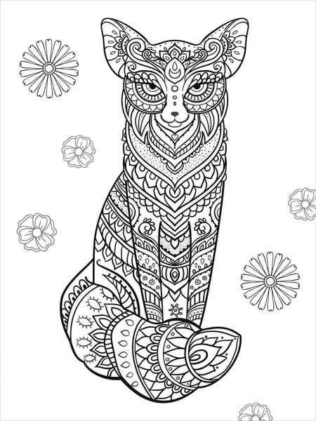 Produktbild: Mein Mandala-Tier-Malbuch &ndash; Im Paradies der Tiere