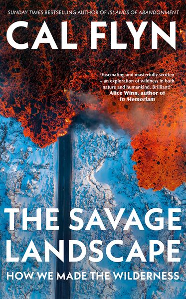 Produktbild: The Savage Landscape