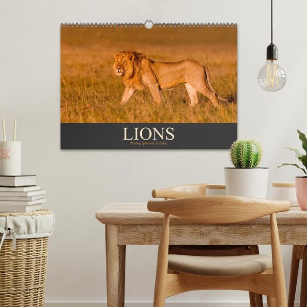 Produktbild: Lions &ndash; Photographies de la faune (Calendrier mural 2026 DIN A3 vertical), CALVENDO calendrier mensuel
