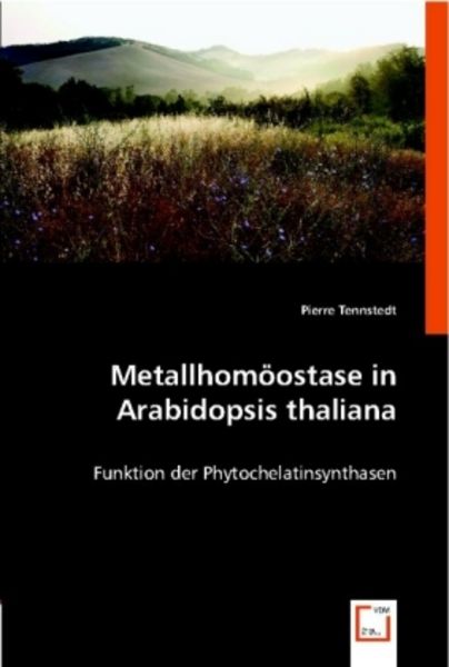 Tennstedt, P: Metallhom¿ostase in Arabidopsis thaliana, Taschenbuch von Pierre Tennstedt, VDM, 9783639011890