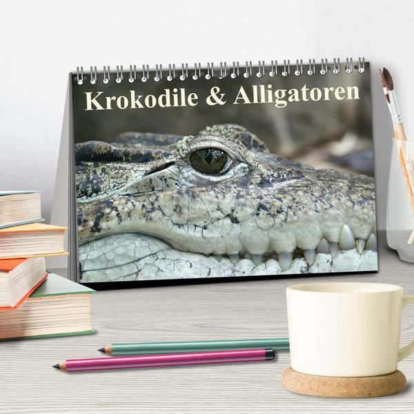 Produktbild: Krokodile & Alligatoren (Tischkalender 2026 DIN A5 quer), CALVENDO Monatskalender