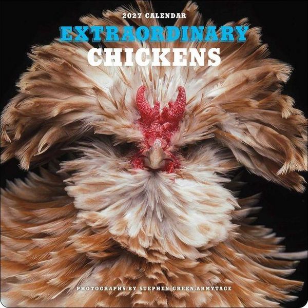 Produktbild: Extraordinary Chickens 2027 Wall Calendar