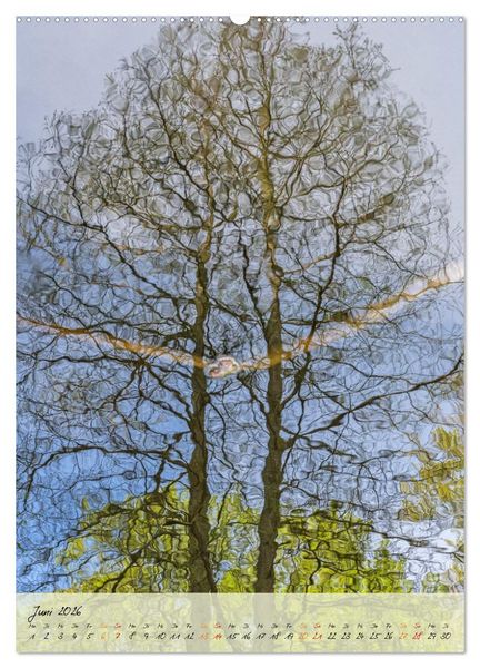 Produktbild: Wo der Wald tr&auml;umt (Wandkalender 2026 DIN A2 hoch), CALVENDO Monatskalender