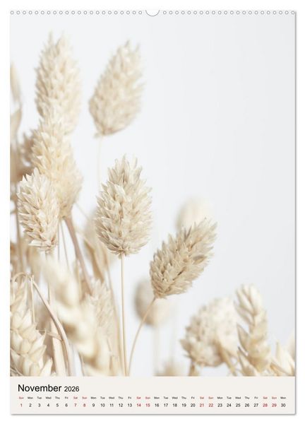Produktbild: Dried Flowers (High Quality Premium Wall Calendar 2026 DIN A2 portrait),CALVENDO 12 Month Wall Calendar