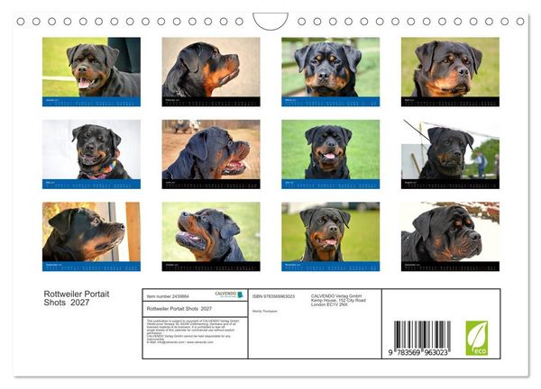 Produktbild: Rottweiler Portait Shots 2027 (Wall Calendar 2027 DIN A4 landscape), CALVENDO 12 Month Wall Calendar