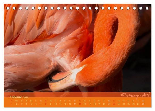Produktbild: Flamingo Art 2026 (Tischkalender 2026 DIN A5 quer), CALVENDO Monatskalender