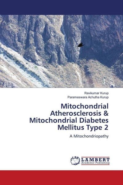 Produktbild: Mitochondrial Atherosclerosis & Mitochondrial Diabetes Mellitus Type 2