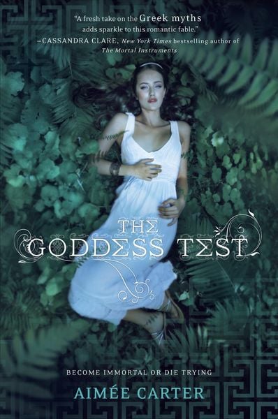 Produktbild: The Goddess Test