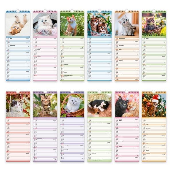 Produktbild: TR&Ouml;TSCH - Streifenkalender Katzen 2027 Notizkalender