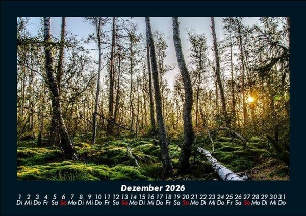 Produktbild: B&auml;ume 2026 Fotokalender DIN A5