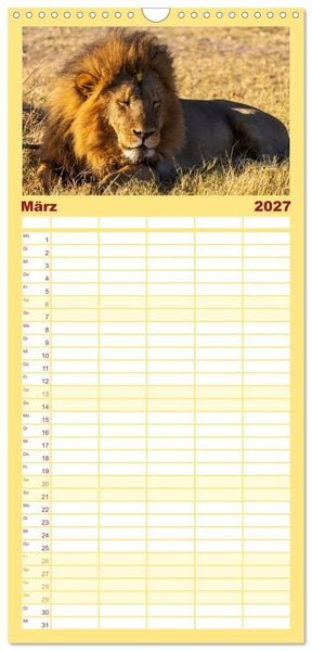 Produktbild: Familienplaner 2027 - L&ouml;wen in Botswana und S&uuml;dafrika mit 5 Spalten (Wandkalender, 21 x 45 cm) CALVENDO