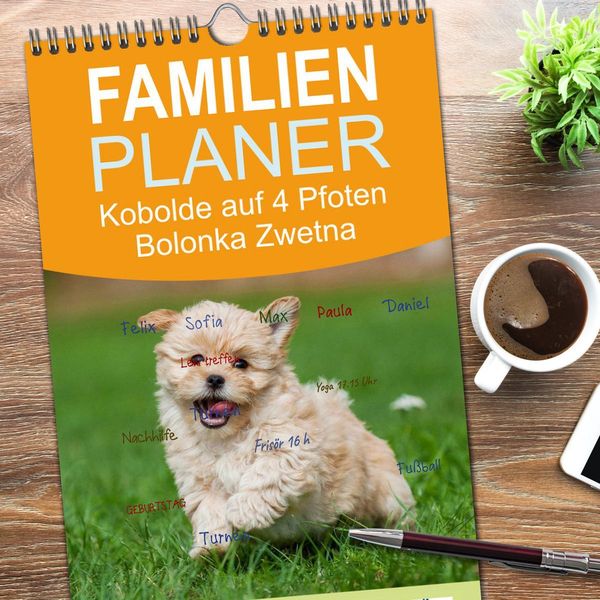 Produktbild: Familienplaner 2026 - Kobolde auf 4 Pfoten - Bolonka Zwetna mit 5 Spalten (Wandkalender, 21 x 45 cm) CALVENDO
