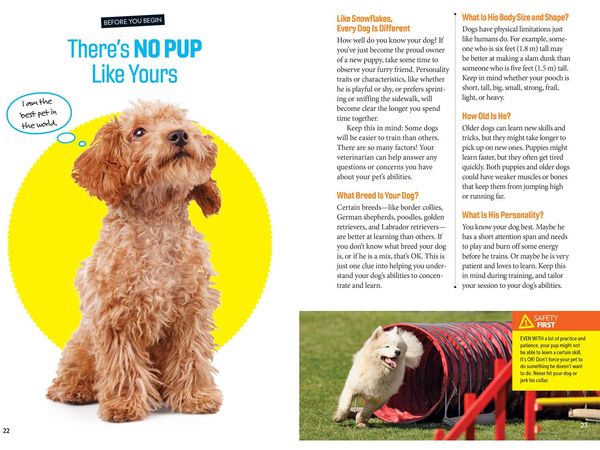 Produktbild: Fetch! a How to Speak Dog Training Guide