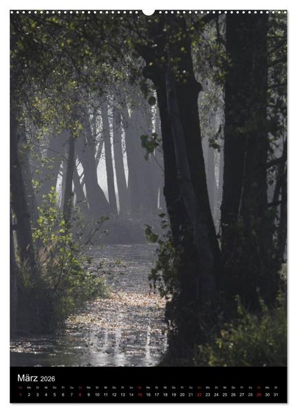 Produktbild: Wunderbarer Spreewald (hochwertiger Premium Wandkalender 2026 DIN A2 hoch), Kunstdruck in Hochglanz