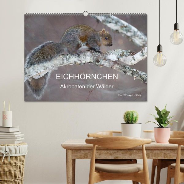 Produktbild: EICHH&Ouml;RNCHEN (Wandkalender 2026 DIN A2 quer), CALVENDO Monatskalender