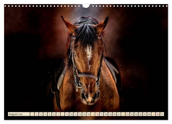 Produktbild: Eleganz und Sch&ouml;nheit - Pferde (Wandkalender 2026 DIN A3 quer), CALVENDO Monatskalender