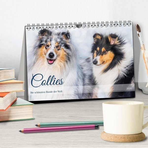 Produktbild: Collies - die sch&ouml;nsten Hunde der Welt (Tischkalender 2026 DIN A5 quer), CALVENDO Monatskalender