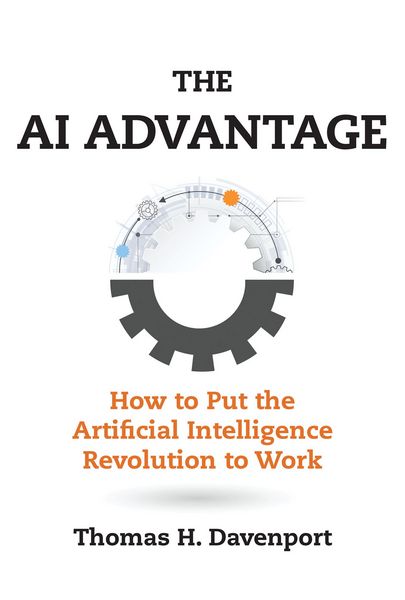 Produktbild: The AI Advantage