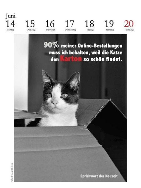 Produktbild: Der literarische Katzenkalender 2027