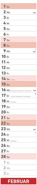 Superplaner 2026 - Streifenkalender 17x85 cm - mit Ringbindung - viel Platz für Notizen - Langplaner - Wandkalender - Küchenkalender - Alpha Edition