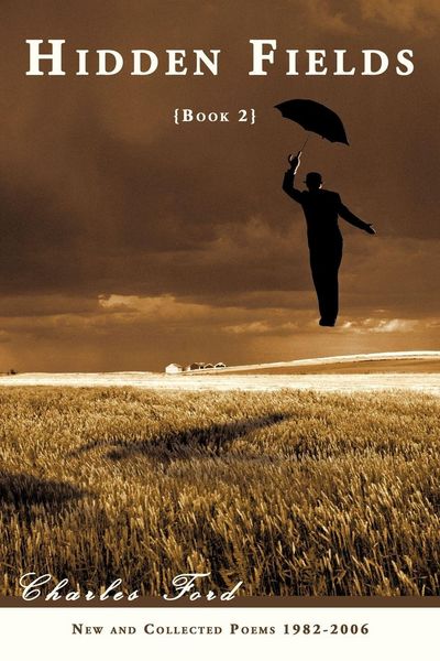 Produktbild: Hidden Fields