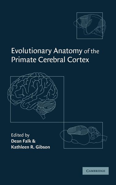 Produktbild: Evolutionary Anatomy of the Primate Cerebral Cortex