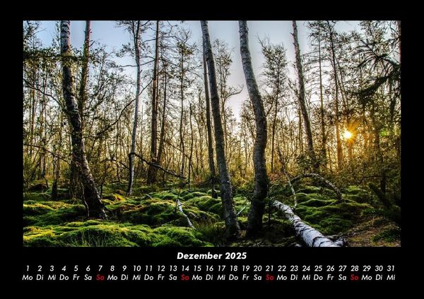 Produktbild: B&auml;ume 2025 Fotokalender DIN A3