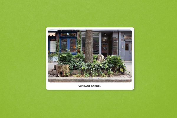 Produktbild: New York City Street Tree Tarot