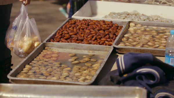 Produktbild: Was essen wir morgen?