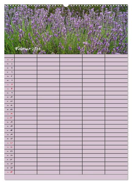 Produktbild: Naturzauber Lavendel - Familienplaner (Wandkalender 2026 DIN A2 hoch), CALVENDO Monatskalender