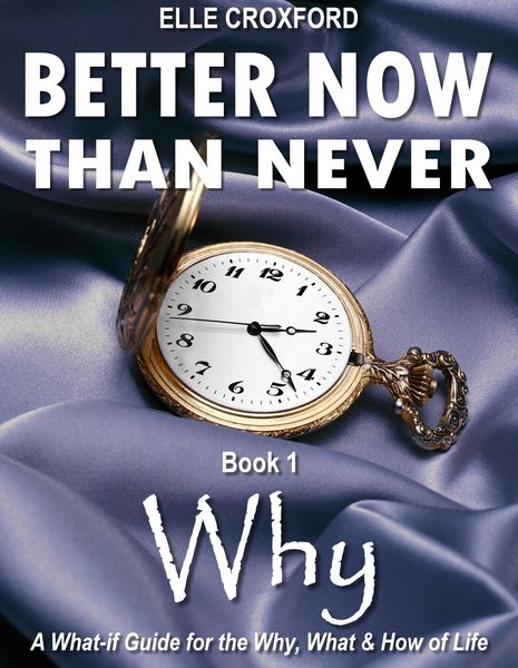 Produktbild: Better Now Than Never: Book 1 Why