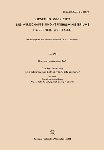 Produktbild: Druckgasfeuerung Ein Verfahren zum Betrieb von Gasfeuerst&auml;tten