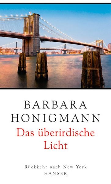 Produktbild: Das &uuml;berirdische Licht