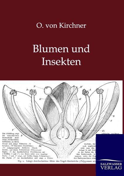 Produktbild: Blumen und Insekten