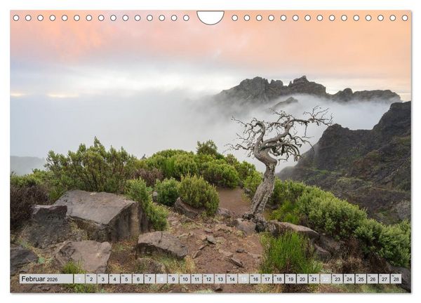 Produktbild: Wundersch&ouml;nes Madeira (Wandkalender 2026 DIN A4 quer), CALVENDO Monatskalender